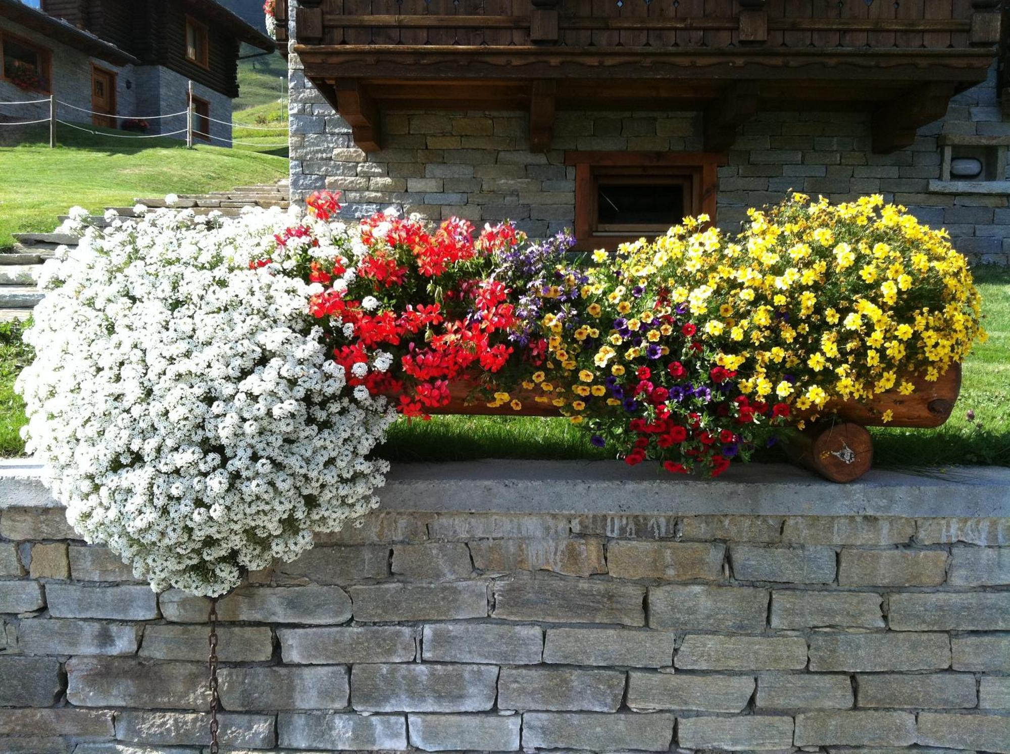 Residence Lo Peyo Champoluc Exterior photo
