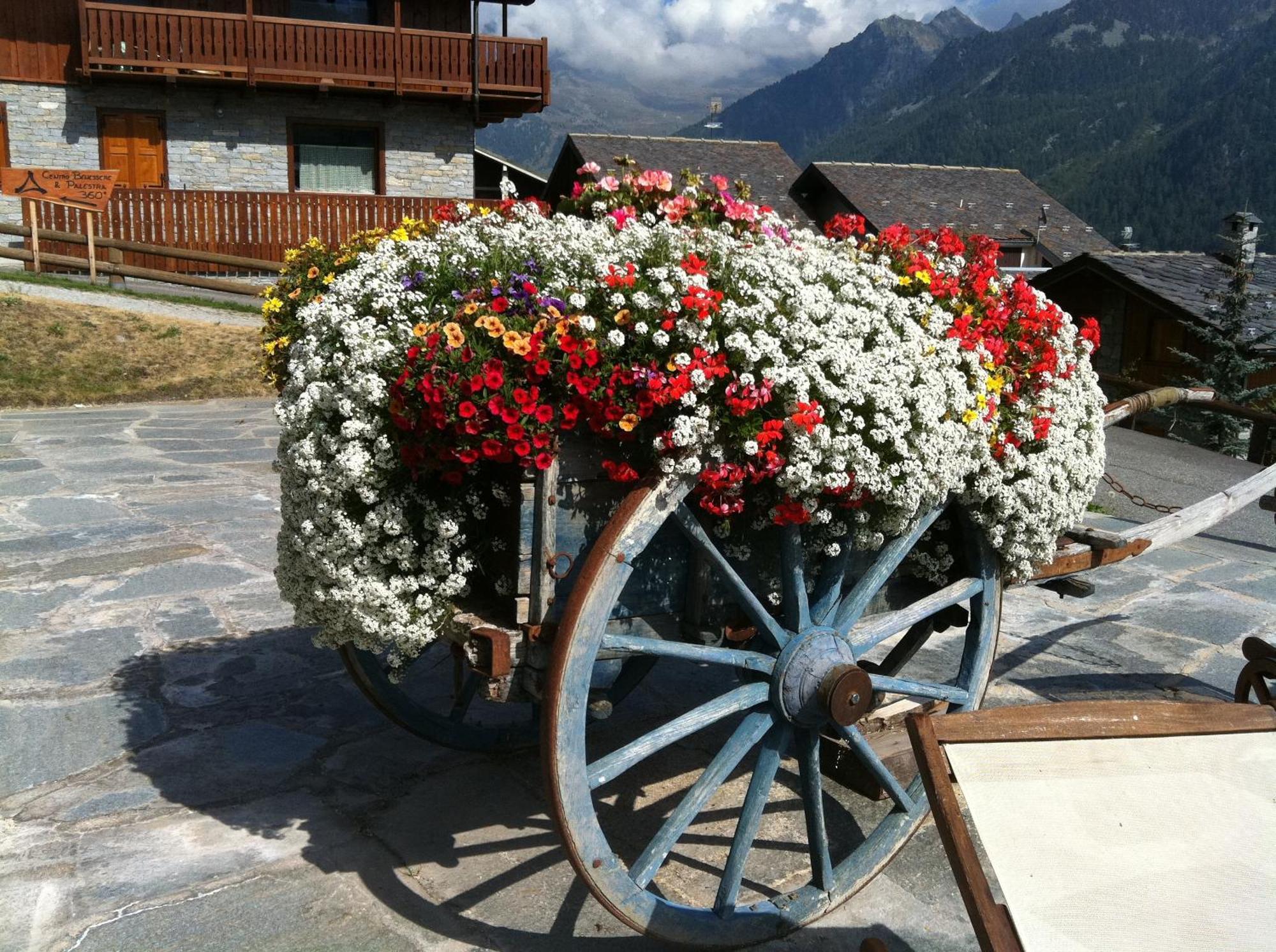 Residence Lo Peyo Champoluc Exterior photo